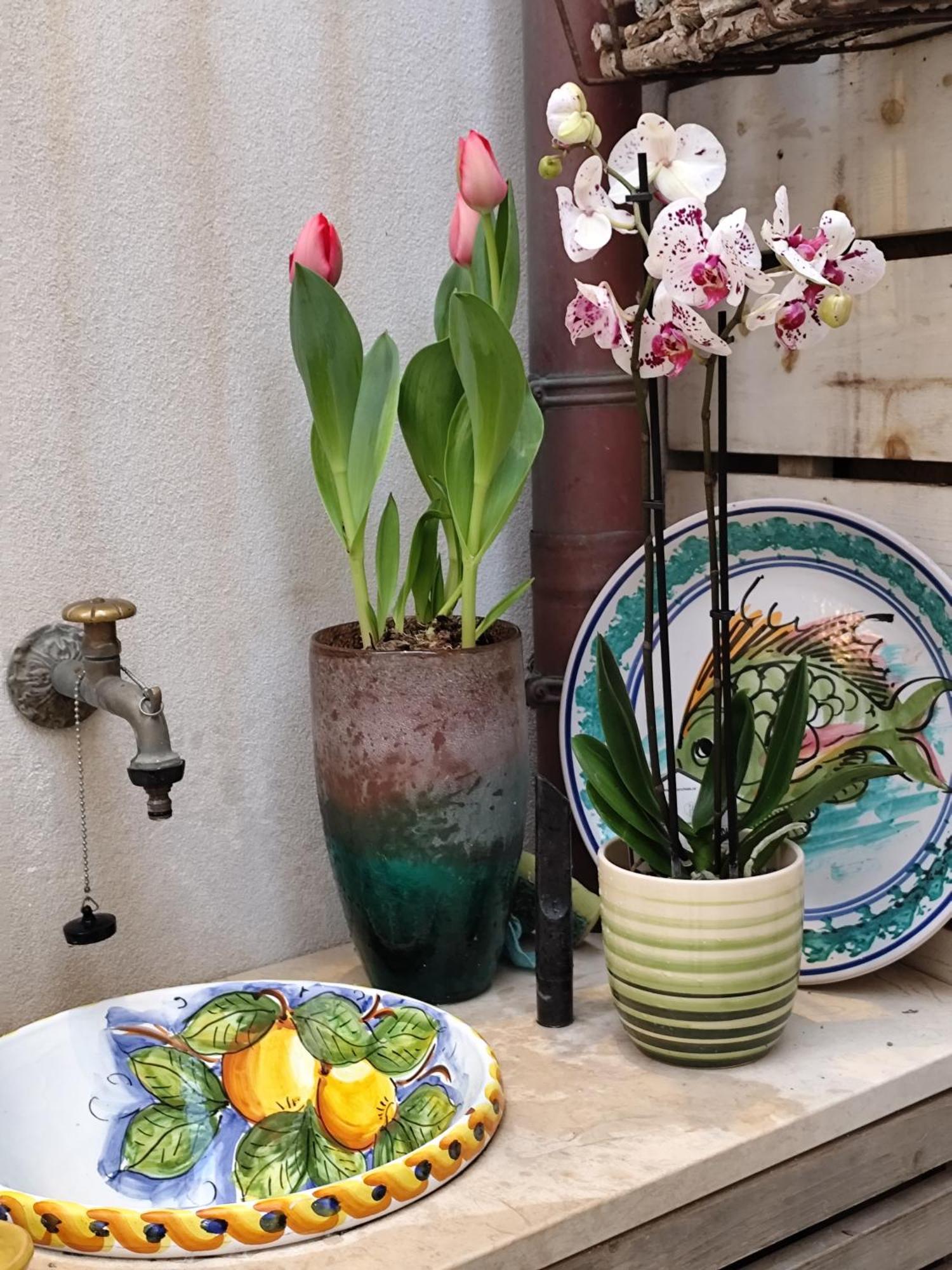 Ammira Appartement Syracuse Buitenkant foto